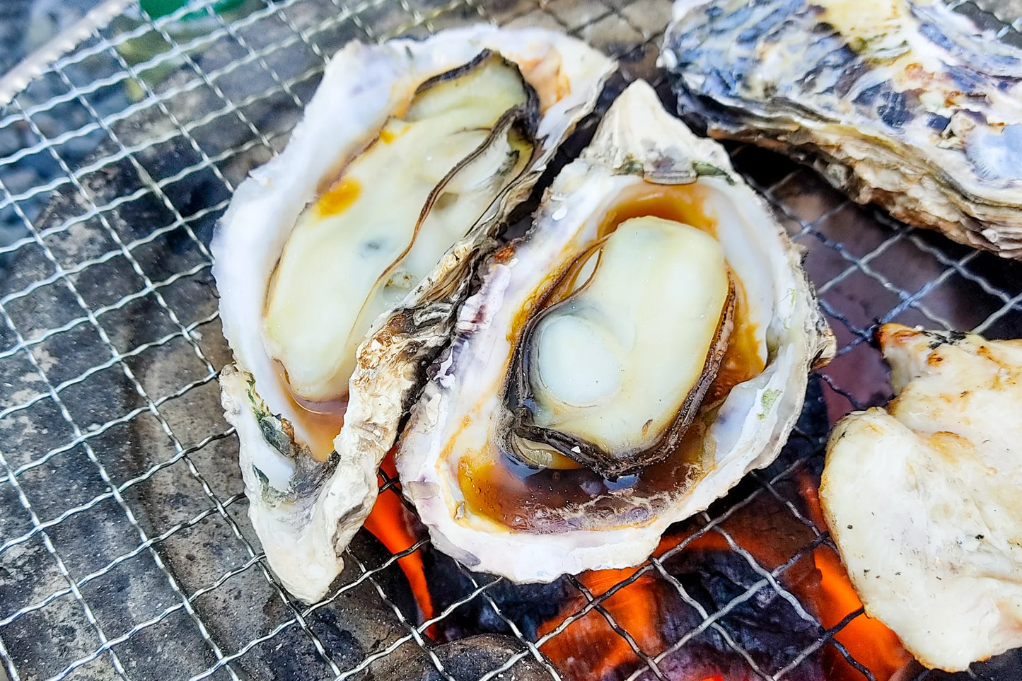 牡蠣